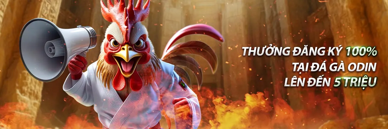 Hình ảnh tổng quan về trang tin tức 58win1 trang chủ chính thức